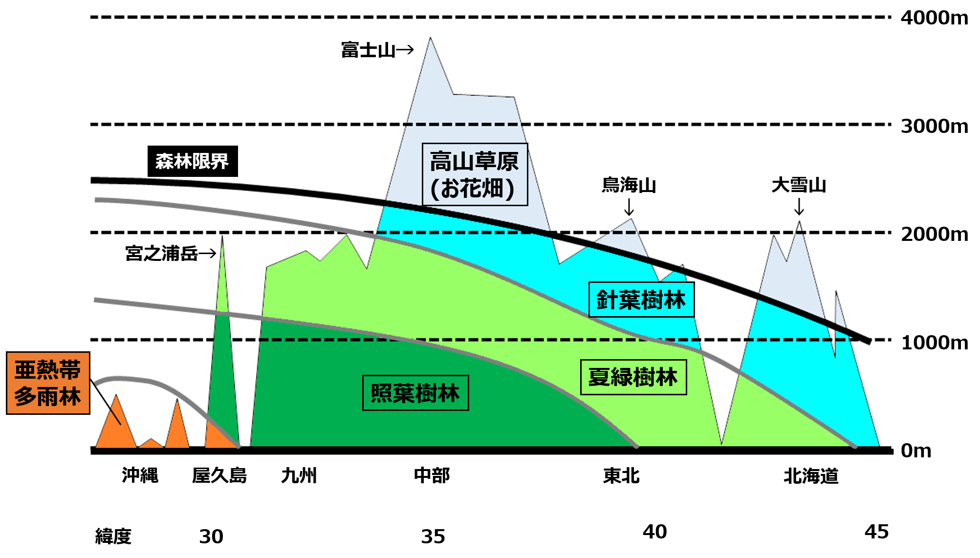 【生物基礎】日本のバイオーム　南北と標高で分けて考えよう