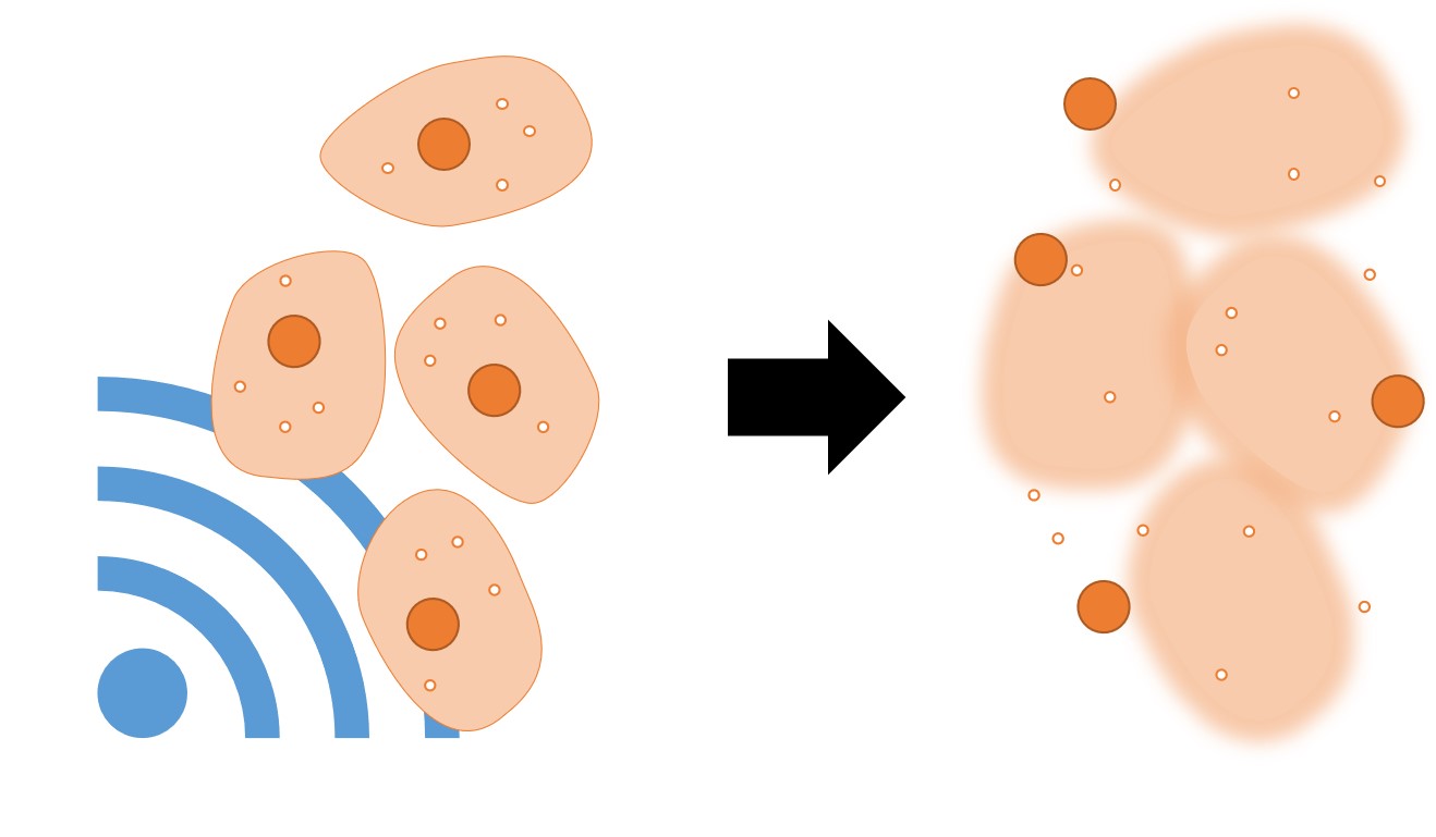 細胞分画法 細胞小器官の大きさをイメージしよう | biology tips - 高校生物のワンポイント解説